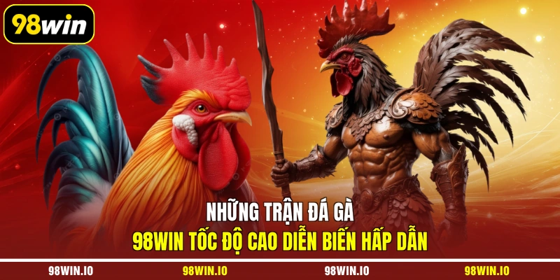 Những trận đá gà 98WIN tốc độ cao diễn biến hấp dẫn